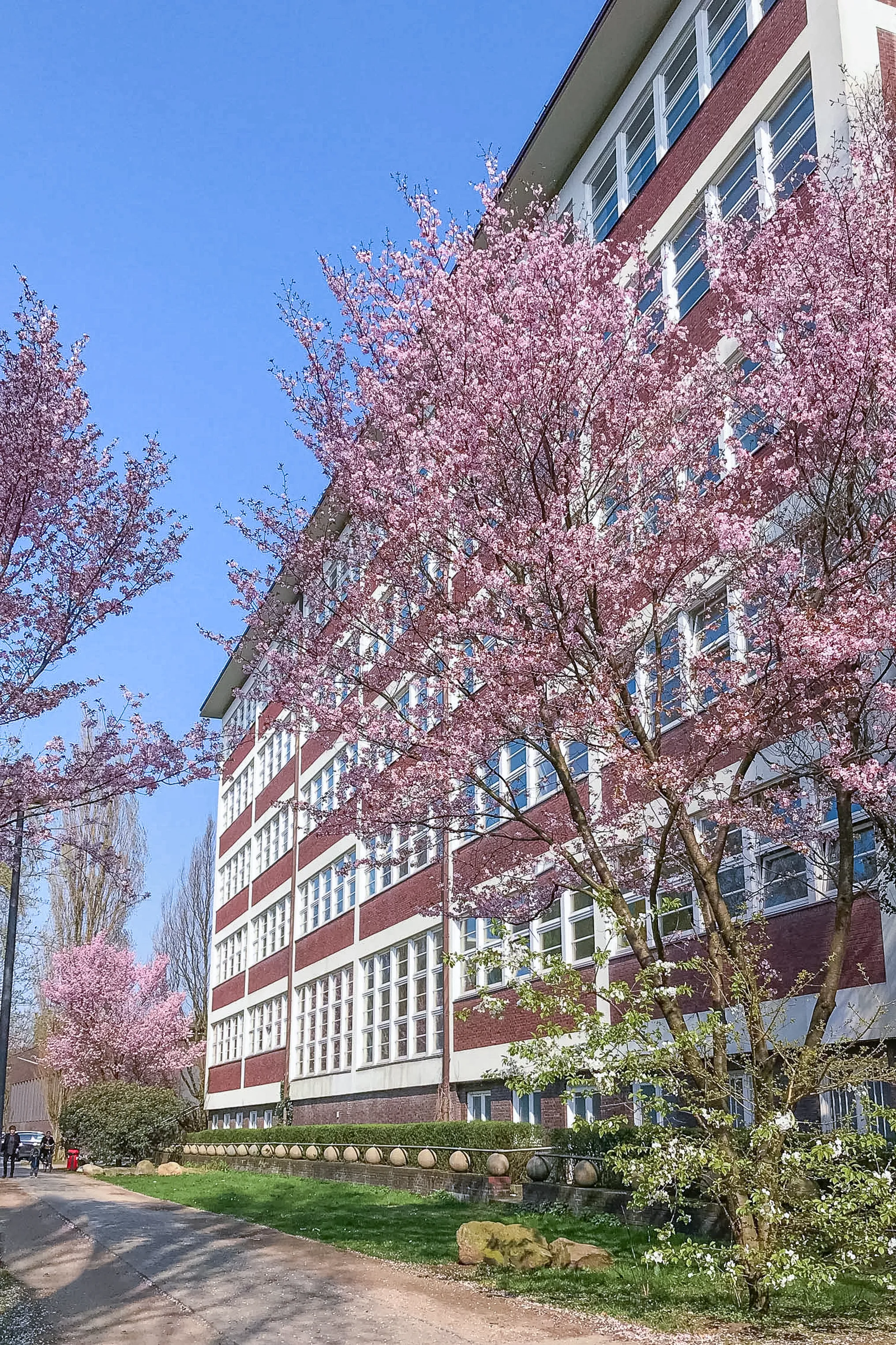 Sts Web Auswahl 10