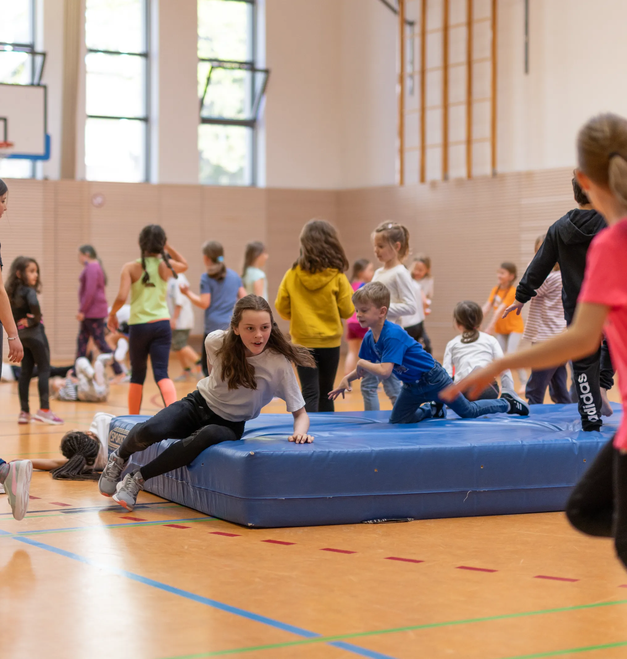 Sts Web Kleine Auswahl (15 Von 16)